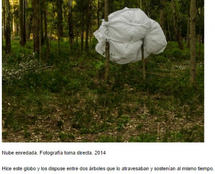 Obra becada por el FNA
