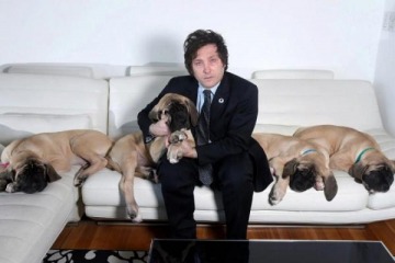 Foto de "De la vida privada del Presidente no vamos a hablar": Adorni evit nuevamente hablar de los perros de Milei 