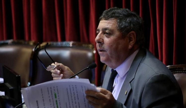 En modo senador oficialista