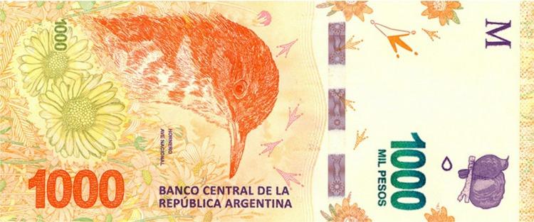 El hornero el animal ms devaluado del mundo - Poltica Argentina