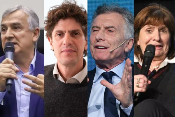 "La patria está en riesgo por Milei" y "el rol de Macri es patético": fuerte mensaje de Morales y Lousteau
