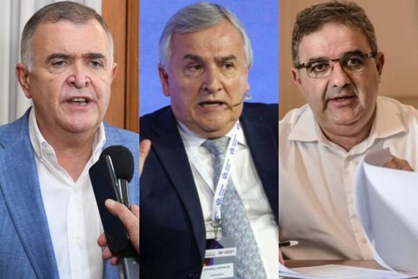 Dos gobernadores peronistas coinciden con Morales en que si gana Milei no podrán "pagar sueldos"