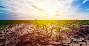 D&iacute;a de la Tierra: seis consecuencias del cambio clim&aacute;tico que ya impactan en el planeta