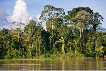 Deforestaci&oacute;n en la Amazonia brasile&ntilde;a cay&oacute; al nivel m&aacute;s bajo desde 2019