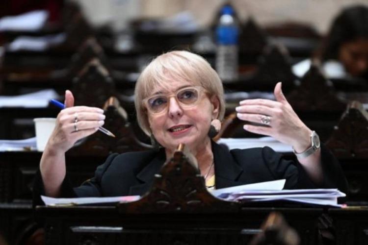 La diputada Silvana Giúdici (PRO)