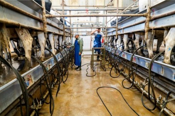 L&iacute;nea crediticia para productores lecheros: La Pampa lanz&oacute; pr&eacute;stamos de hasta $200 millones