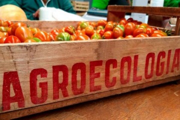 Foto de "Tomatazo agroecológico": venden el kilo de tomates a 120 pesos "para enfrentar la especulación"