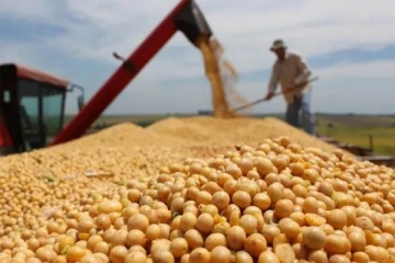 El Gobierno nacional afirmó que no contempla subir retenciones al maíz, la soja y el trigo