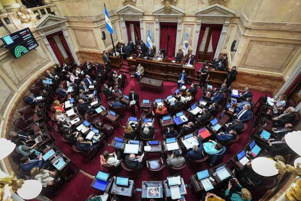 El Senado aprobó el proyecto para regularizar deudas previsionales y lo giró a Diputados