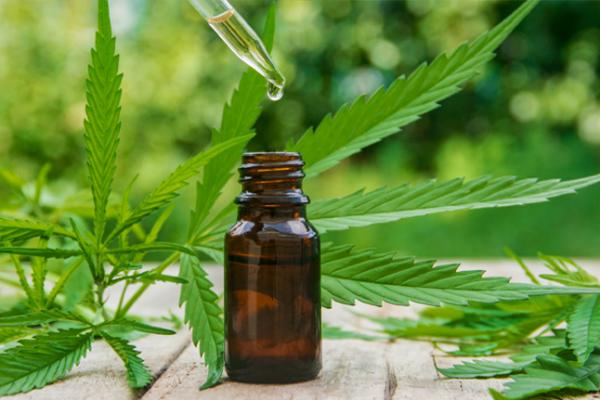 La Corte Suprema ratificó la despenalización del cultivo de cannabis para uso medicinal