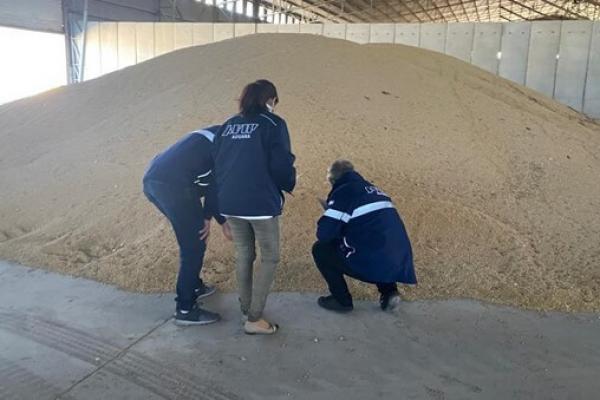 La AFIP detectó 1400 casos de manipulación de precios de multinacionales con sus filiales