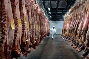  El Gobierno no modificará las restricciones a las exportaciones de  7 cortes de carne vacuna