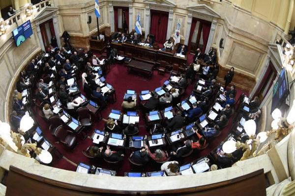 El Senado intenta retomar su trabajo con dos proyectos económicos del FDT