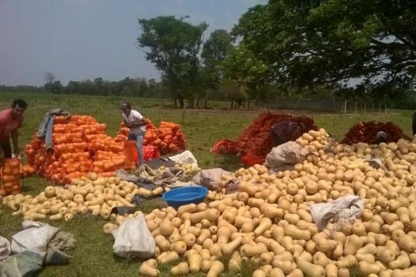 Los productores agropecuarios cobraron seis veces menos, de lo que pagaron consumidores
