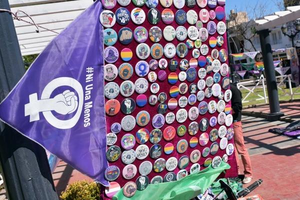 Se desarrolla en San Luis el 35° Encuentro Plurinacional de Mujeres