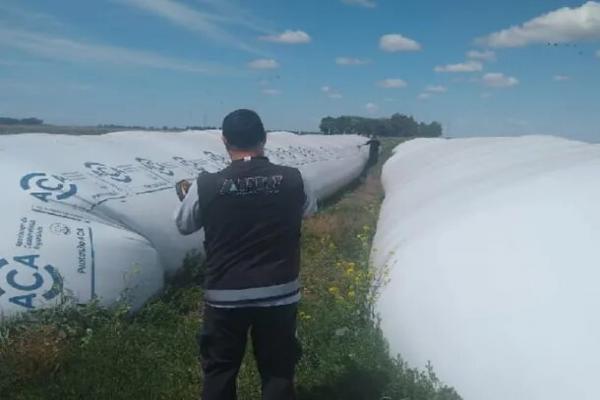 AFIP detectó evasión por más de $160 millones en la cadena de comercialización de granos