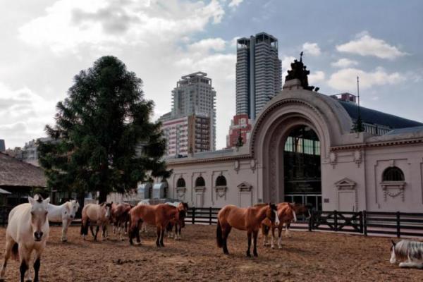 Malversación de caudales públicos: Revés judicial para la Sociedad Rural Argentina por el predio de La Rural