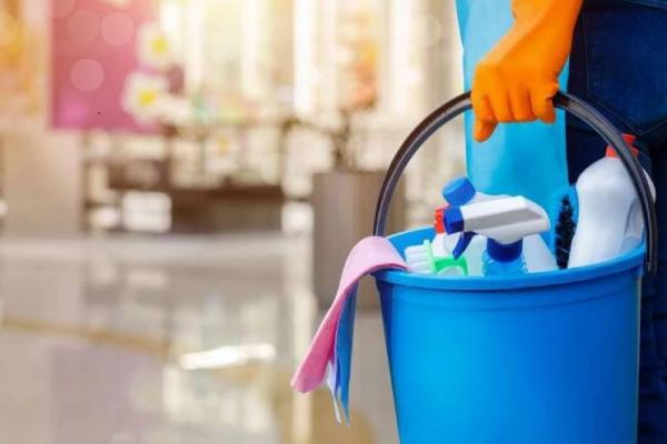 Empleadores de personal de casas particulares podrán pedir reintegro del 50% del Bono de Fin de Año