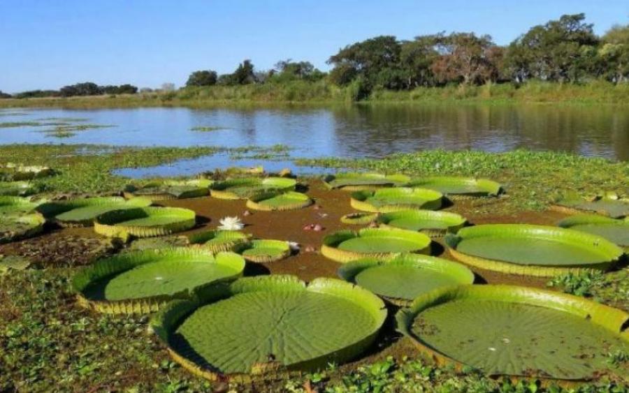 Despertar climático y medioambiental: nuevas perspectivas a la espera de un cambio de paradigma