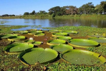 Despertar climático y medioambiental: nuevas perspectivas a la espera de un cambio de paradigma