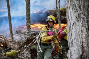 Incendios forestales: cómo es la situación en las provincias con focos de fuego