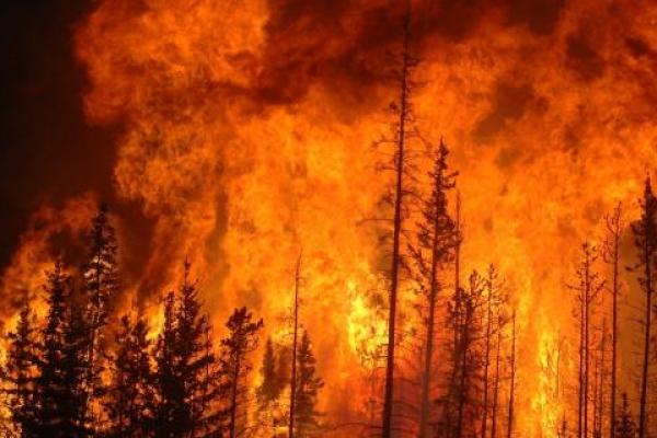 Incendios en Chile: ascendieron a 16 los muertos, Argentina envia brigadistas y maquinarias para ayudar