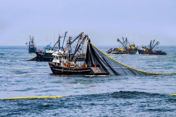 China levantó la suspensión de establecimientos pesqueros argentinos