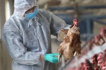 Oficializan una serie de"medidas extraordinarias" para frenar la propagación de la gripe aviar