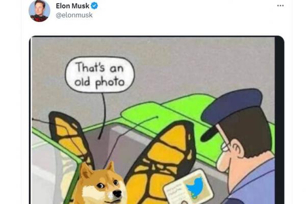 Elon Musk y Dogecoin: por qué Twitter puso un perro en su logo de inicio