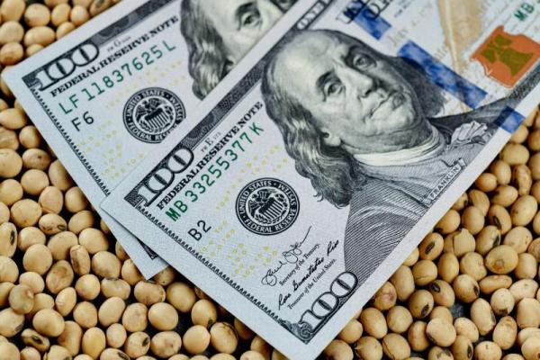 Dólar agro y soja: el campo pide que sea "permanente" y calcula ingresos por USD 5 mil millones