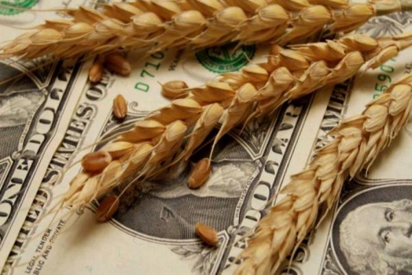 Gobernadores respaldaron el dólar agro de Massa que busca impulsar las exportaciones