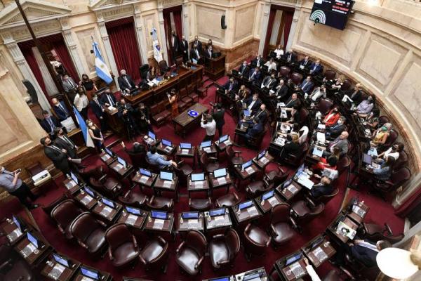Luego de la frustrada primera sesión del año, el Senado debatirá pliego de jueces, la Ley Lucio y Alcohol Cero