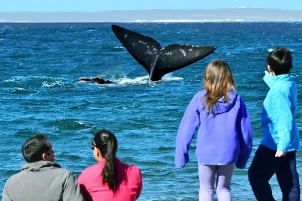 PreViaje 4: queda una semana para cargar los comprobantes de pasajes y alojamientos