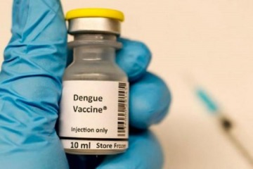 Anmat aprobó el uso de una vacuna contra el dengue para mayores de 4 años