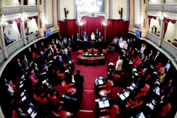 Ley Lucio: el Senado bonaerense aprobó la adhesión de la provincia de Buenos Aires al proyecto