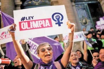 Ley Olimpia: el Senado aprobó el proyecto para incorporar la figura de violencia digital