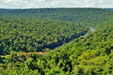 Medio ambiente, afuera: el "Ómnibus" habilita quemar tierras, desfinancia ley de Bosques y permite el desmonte