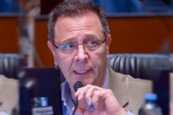 Ley Ómnibus: Zago confesó que los legisladores libertarios se "sorprendieron" porque "no tenían conocimiento del contenido"