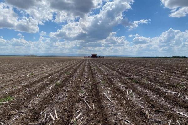 La Justicia dejó sin efecto la cautelar que suspendió la derogación de la Ley de Tierras en el DNU de Milei