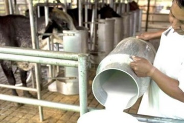 La producción de leche disminuyó un 12,6% y toca su mayor caída en 7 años