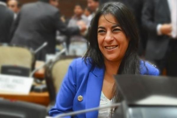 "Detrás de cada propuesta de eliminación de estos medios  hay negocios inmobiliarios y otros intereses", advirtió Moíses