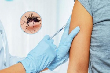 La contracara de la postura de Nación con el dengue: qué provincias tienen vacunación gratuita 