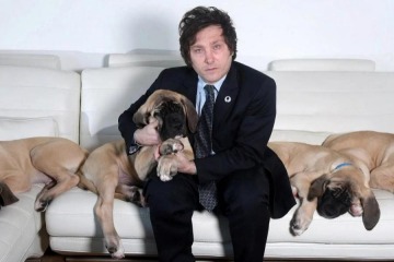 "Posee mascotas": el Gobierno no responde cuántos perros vivos tiene Milei y pide googlear