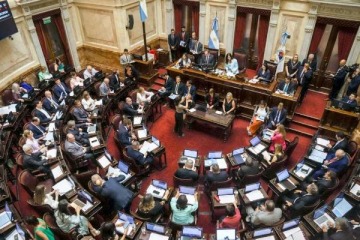 El Senado sancionó la ley que suspende las PASO para este año