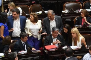 Diputados de Unión por la Patria pidieron una sesión especial para homenajear al papa Francisco