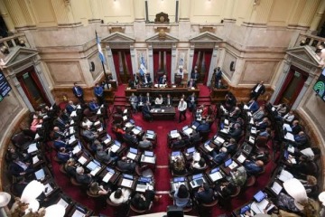 De cara a las elecciones legislativas, el Senado debate Ficha Limpia