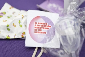 El Gobierno de Milei eliminó el programa MenstruAR y otros 12 planes de gestiones anteriores