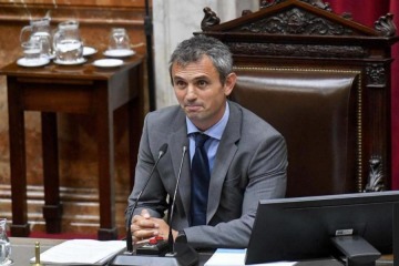 Maniobra: Menem intentará cambiar las reglas para elegir auditores y frenar un acuerdo opositor en Diputados