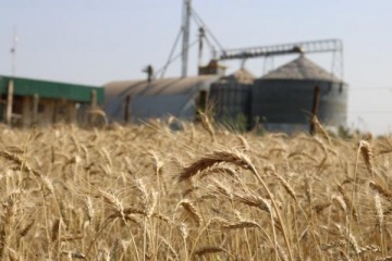 El Gobierno extiende la rebaja de retenciones para el trigo y la cebada hasta marzo de 2026