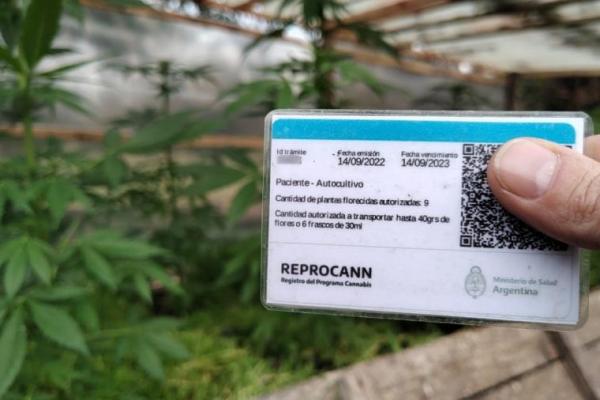 Cannabis medicinal: el Gobierno modificó los requisitos para inscribirse en el programa Reprocann